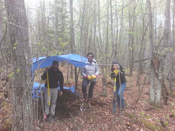 sampling forest soil site