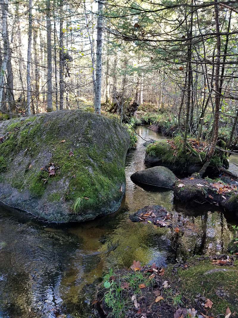 Wolf River Granite boulders in the Plover River.