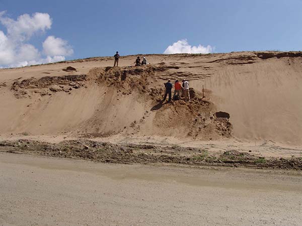 Dune section in northeastern China