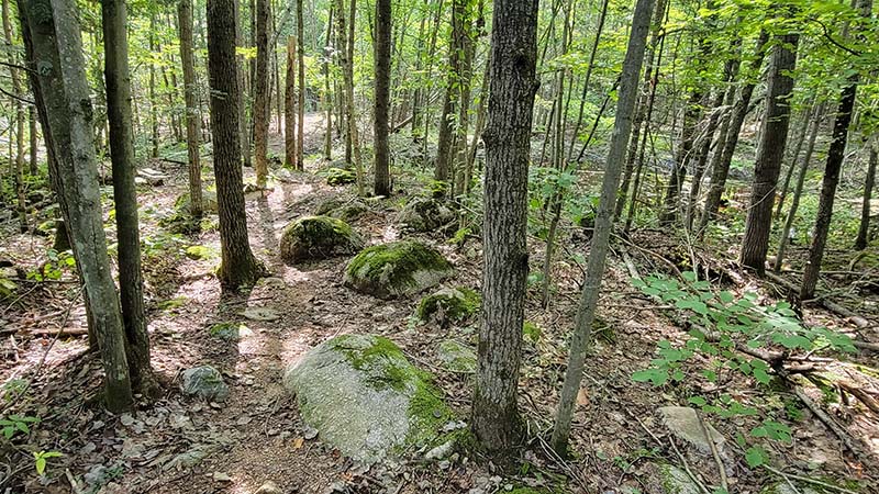 Bouldery moraine, Ringle section of the Ice Age Trail